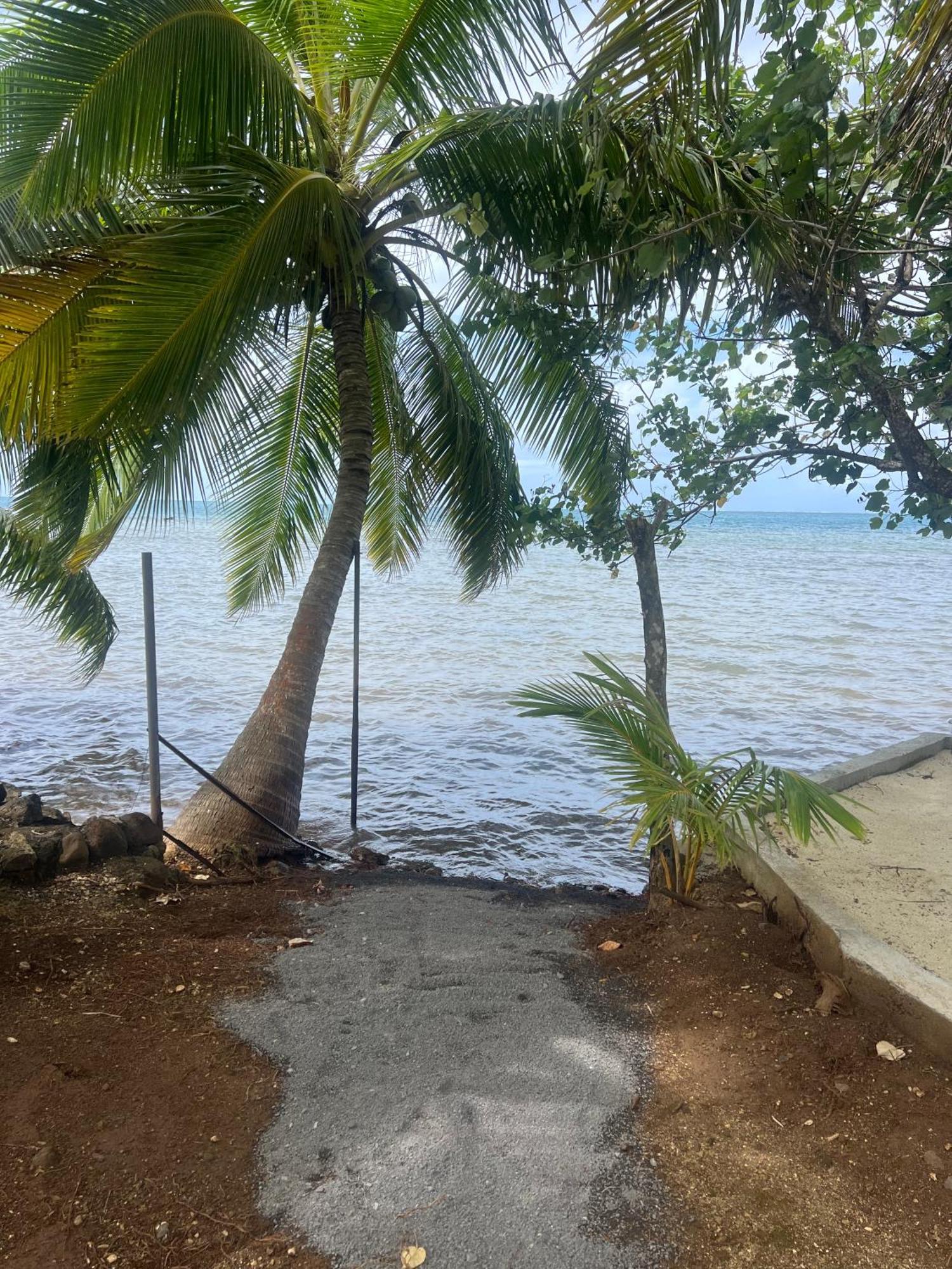 Fare Mama Rota - Au Bord De L'Ocean Villa Taputapuapea Екстериор снимка